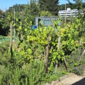 RebenVorne 2026-07-04 17.09.